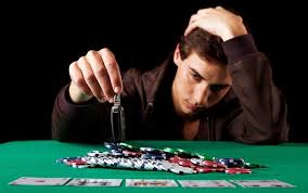 Официальный сайт Casino Cat